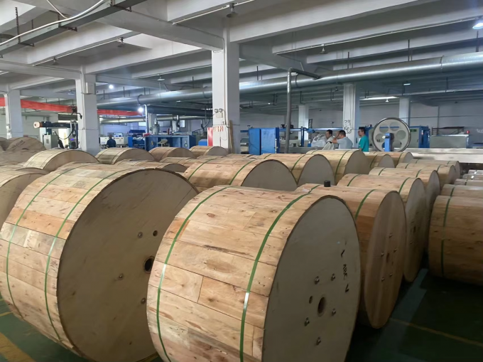 Cavo ottico corazzato per esterni a 4-6-8-12 fibre GYXTW a tubo lasco centrale, monomodale, per condotti 2