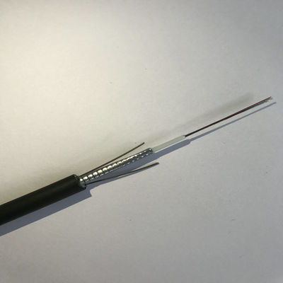 2 4 6 8 10 12 24 cavi a fibre ottiche corazzati di singolo modo del cavo del centro GYXTW