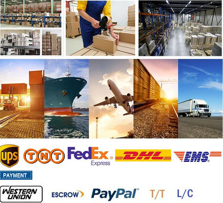 24 36 48 96 Cavo in fibra ottica a base sotterranea a sepoltura diretta GYTS53