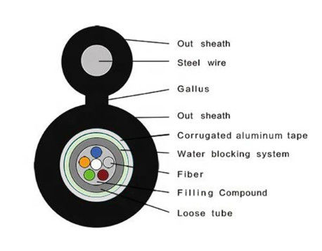 Figura 8 Cable a fibra ottica a piedi esterno GYXTC8A
