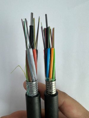 2 4 6 8 24 32 48 Core Cavo blindato a fibra ottica GYTA Cavo a fibra sotterraneo
