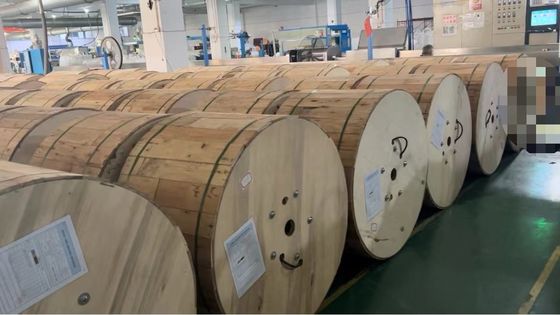 Cavo in fibra ottica sotterraneo a 12 24 core