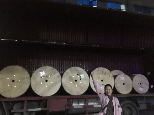 Un cavo a fibre ottiche all'aperto dei 36 centri ha incagliato il nastro d'acciaio GYTA corazzato della metropolitana sciolta