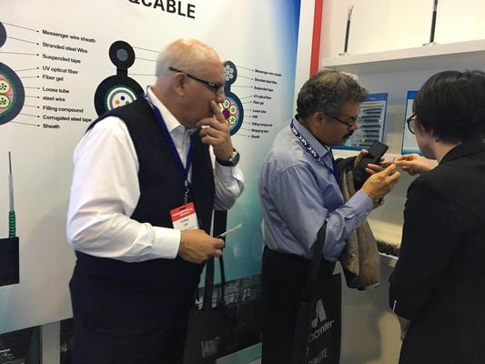 Non anti cavo sotterraneo a fibra ottica del roditore GYFTY6363 del metallo