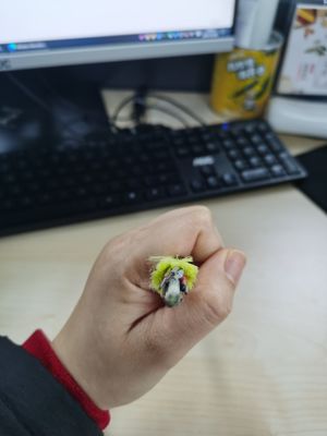 Cavo di comunicazione del centro ADSS di singolo modo 24, tutto il cavo a fibre ottiche dielettrico